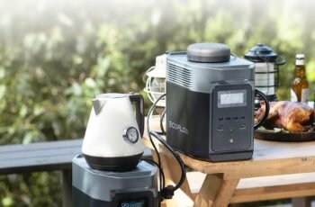 EF ECOFLOW DELTA 2 Smart Extra Battery review